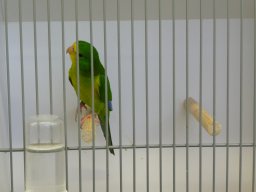 p1040730